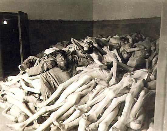 Corpses among wood